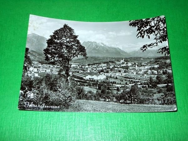 Cartolina Feltre - Panorama 1958.