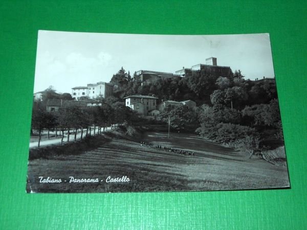 Cartolina Parma - Panorama - Castello 1968.