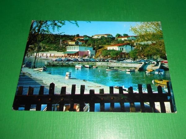 Cartolina Trieste - Duino - Il Porticciolo 1967.