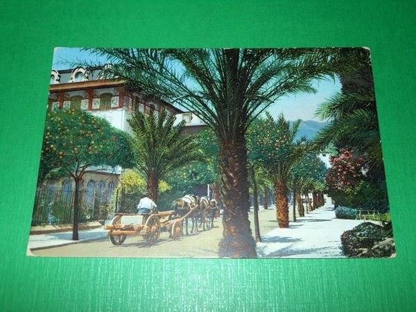 Cartolina Rapallo - Il Viale delle Palme 1925 ca.