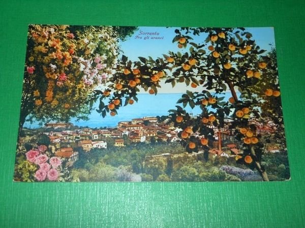 Cartolina Sorrento - Panorama fra gli aranci 1937.