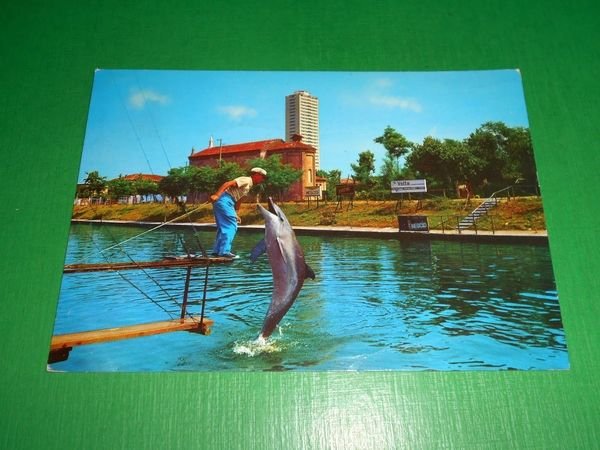 Cartolina Cesenatico - Aquarium con delfino 1971.