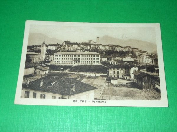 Cartolina Feltre - Panorama 1927.