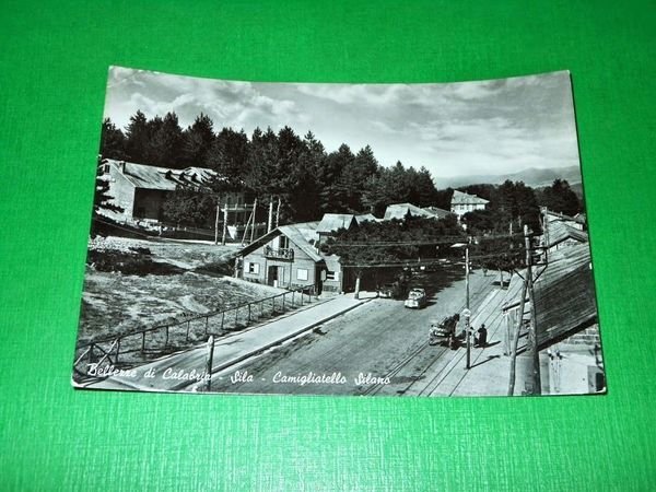 Cartolina Bellezze di Calabria - Sila - Camigliatello Silano 1955.