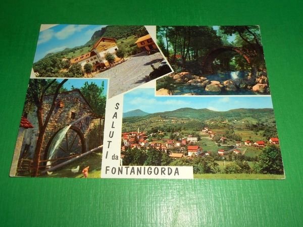 Cartolina Saluti da Fontanigorda - Vedute diverse 1962