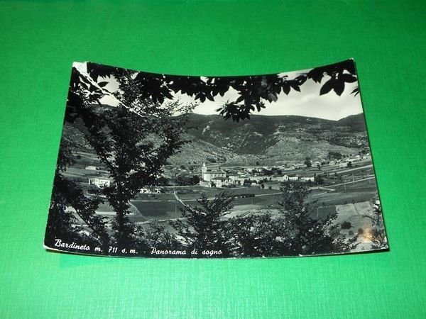 Cartolina Bardineto - Panorama 1950.