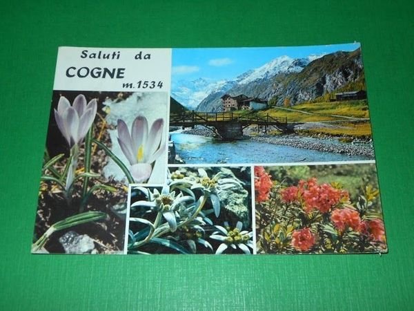 Cartolina Saluti da Cogne - Vedute diverse 1964.