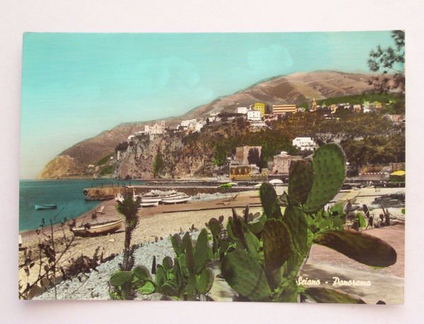 Cartolina Seiano ( Napoli ) - panorama 1964.