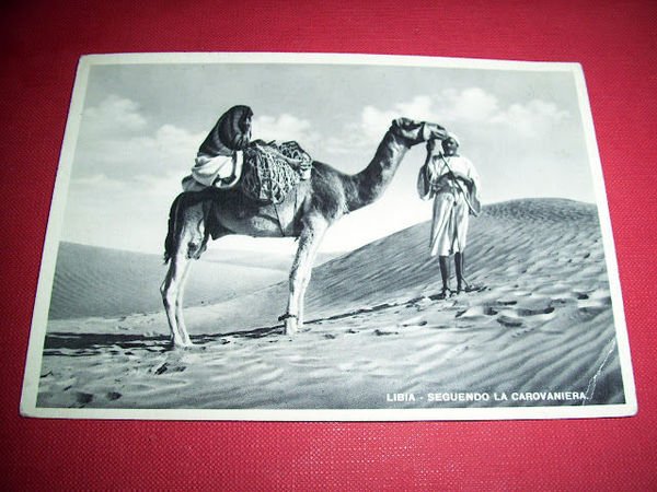 Cartolina colonie Libia - Indigeno nel deserto 1940 ca