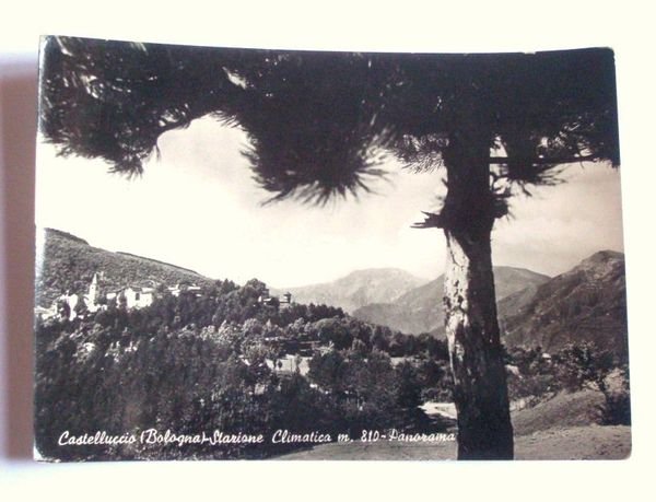 Cartolina Castelluccio ( Bologna ) Staz. Climatica 1950