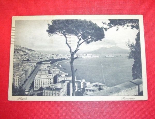Cartolina Napoli - Panorama generale - 1934.