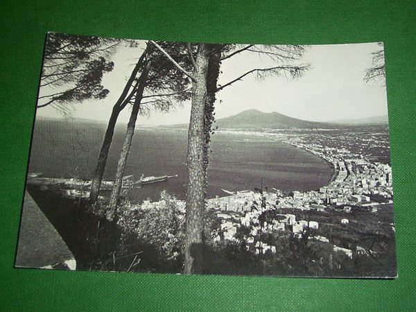 Cartolina Castellammare di Stabia - Panorama da Monte Faito 1955 …