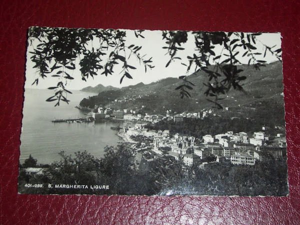 Cartolina S. Margherita Ligure - Panorama 1951.
