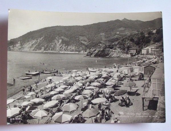 Cartolina Moneglia - Panorama della spiaggia 1964.