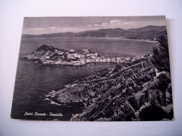 Cartolina Sestri Levante - Penisola 1957.