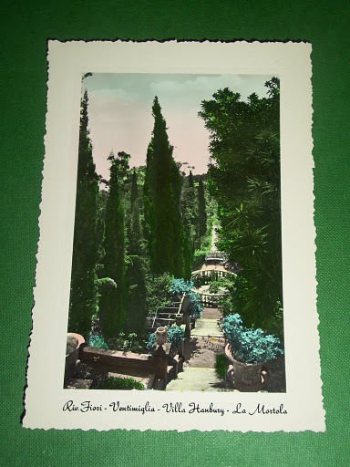 Cartolina Ventimiglia - Villa Hanbury - La Mortola 1945 ca.