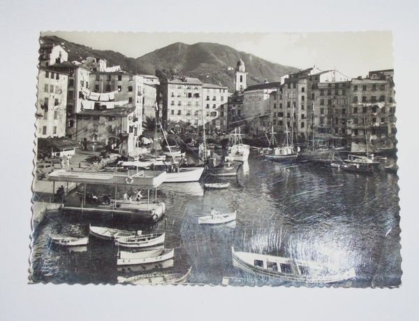Cartolina Camogli ( Genova ) - Il Porto 1955.