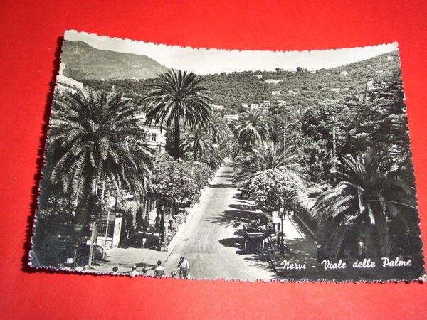 Cartolina Nervi - Viale delle Palme 1953.