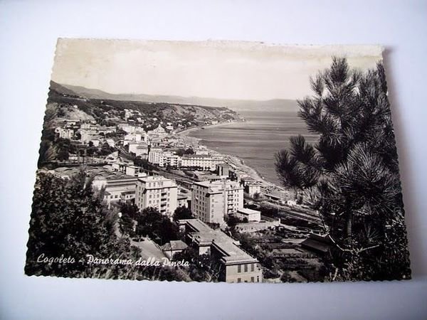 Cartolina Cogoleto - Panorama dalla Pineta 1960.