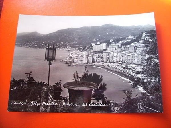 Cartolina Camogli - Panorama dal Castellaro 1960.