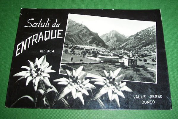 Cartolina Entracque ( Valle Gesso, Cuneo ) - Panorama 1956.