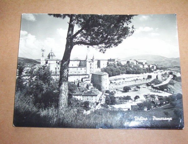 Cartolina Urbino - Panorama generale 1953. | Immagine principale