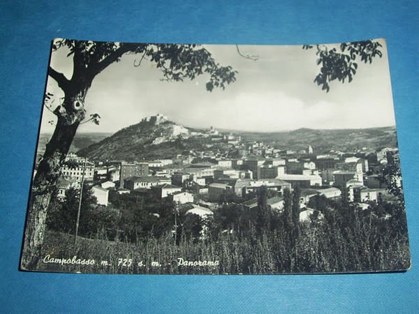 Cartolina Campobasso - Panorama generale 1957.