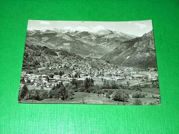 Cartolina Tione di Trento - Panorama - Carè Alto 1953.