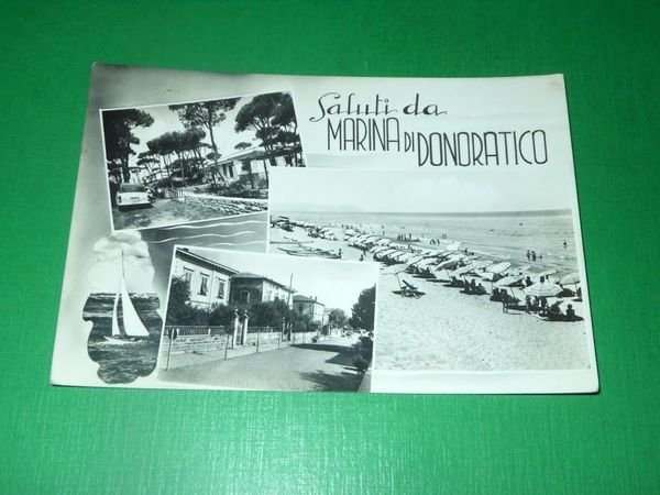 Cartolina Saluti da Marina di Donoratico - Vedute diverse 1958