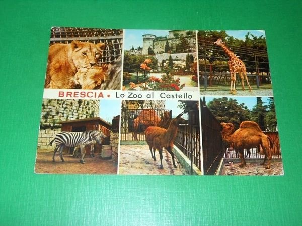 Cartolina Brescia - Lo Zoo al Castello 1986.
