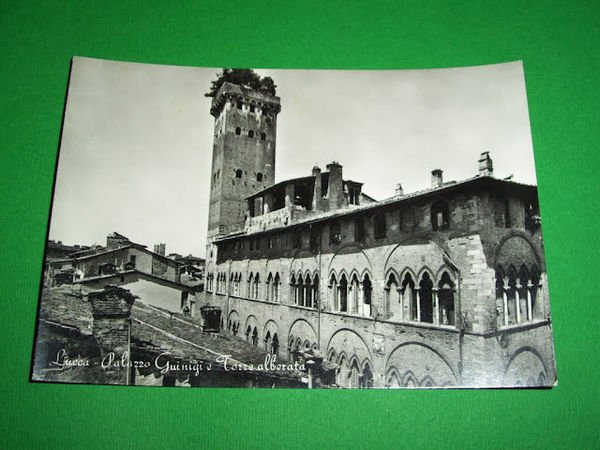 Cartolina Lucca - Palazzo Guinigi e Torre alberata 1955 ca