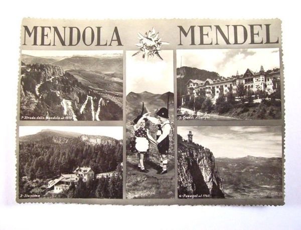Cartolina Mendola ( Trento ) - Vedute diverse 1958
