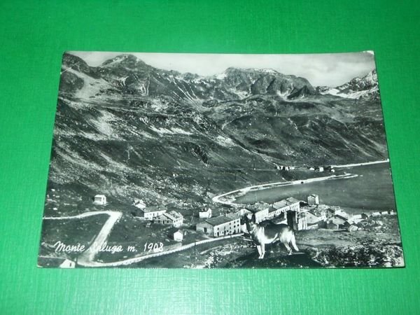 Cartolina Monte Spluga - Scorcio panoramico 1955 | Immagine Gallery 1