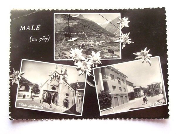 Cartolina Malè ( Trento ) - Vedute diverse 1953