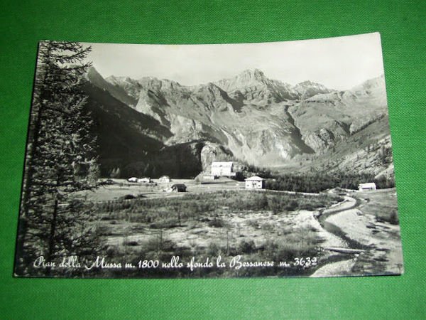 Cartolina Pian della Mussa nello sfondo la Bessanese 1951