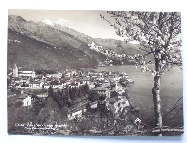 Cartolina Cannobio - Lago Maggiore - Panorama 1957 | Immagine Gallery 1
