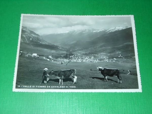 Cartolina Valle di Fiemme da Cavalese - Panorama 1939