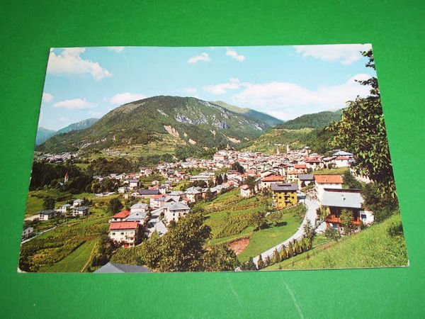Cartolina Castello Tesino ( Trento ) - Panorama 1977