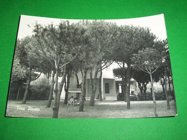 Cartolina Forte dei Marmi - Villa Sacro Cuore - Una …