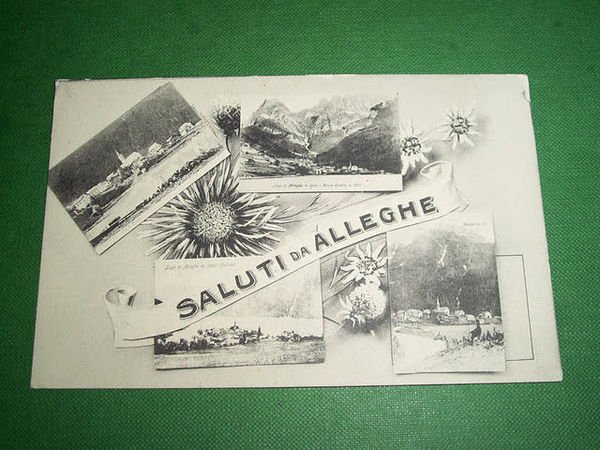 Cartolina Alleghe ( Belluno ) - Vedute diverse 1910 ca | Immagine principale