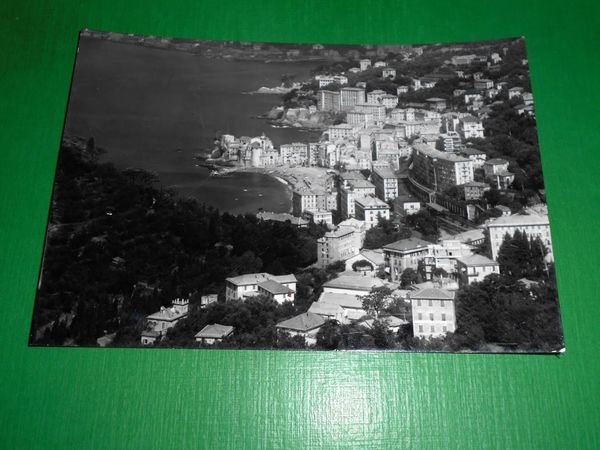 Cartolina Camogli - Golfo Paradiso - Panorama 1963 | Immagine principale