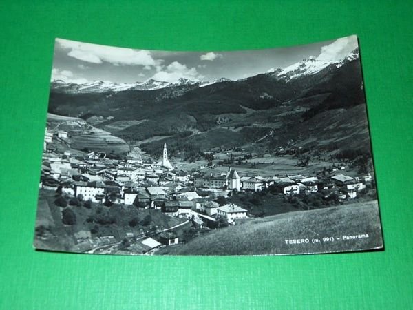 Cartolina Tesero - Panorama 1955 | Immagine principale