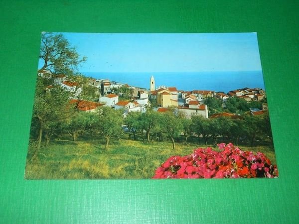 Cartolina Cipressa ( Imperia ) - Panorama 1975 | Immagine principale