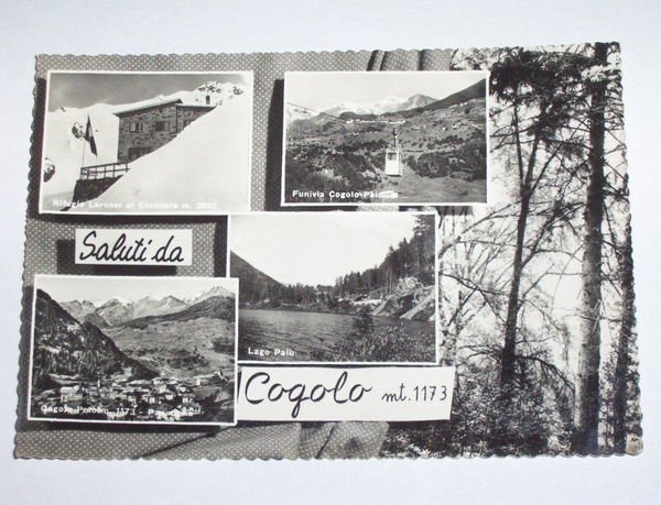 Cartolina Cogolo ( Trento ) - Vedute diverse 1964