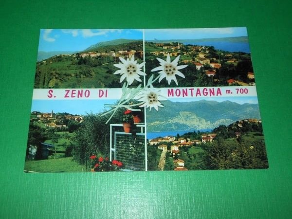 Cartolina San Zeno di Montagna - Vedute diverse 1980 ca | Immagine Gallery 1