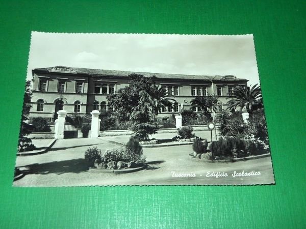 Cartolina Tuscania - Edificio Scolastico 1950 ca