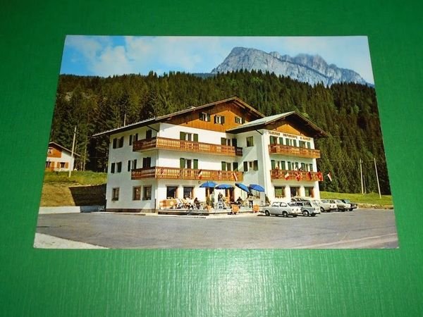 Cartolina Palus S. Marco ( Auronzo di Cadore ) - …