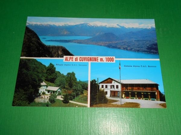 Cartolina Alpe di Cuvignone - Rifugio CAI Besozzo - Colonia …