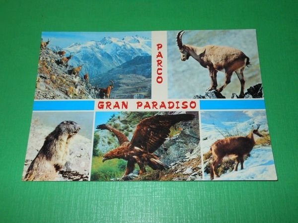 Cartolina Parco Gran Paradiso - Vedute diverse 1965 ca | Immagine principale