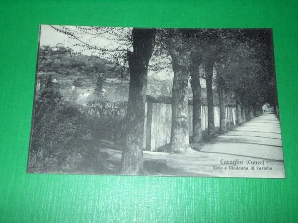 Cartolina Caraglio ( Cuneo ) - Viale e Madonna di … | Immagine principale